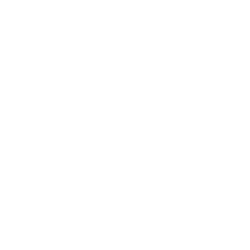 Review branco fundo transparente